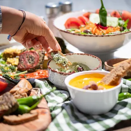 호텔 Rama Holistic And Retreats - Vegan Full Board 오브조르